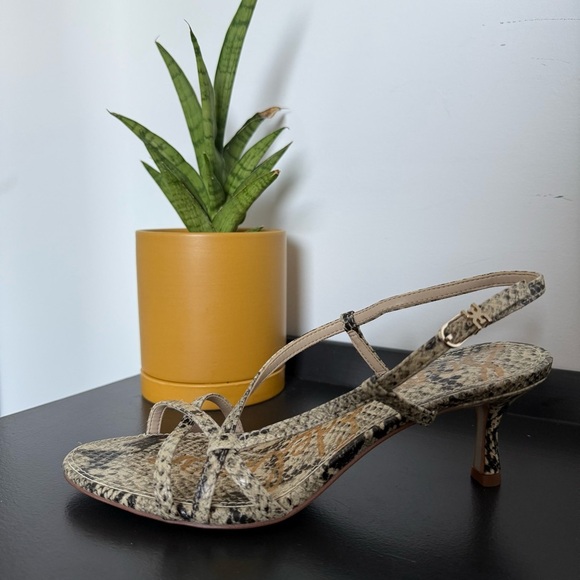 Sam Edelman snake animal print leather Judy strappy kitten heel sandals - size 7 - Picture 4 of 7